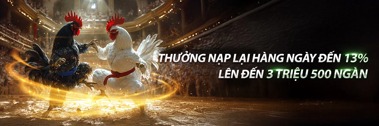 Đá gà trực tuyến hi8823
